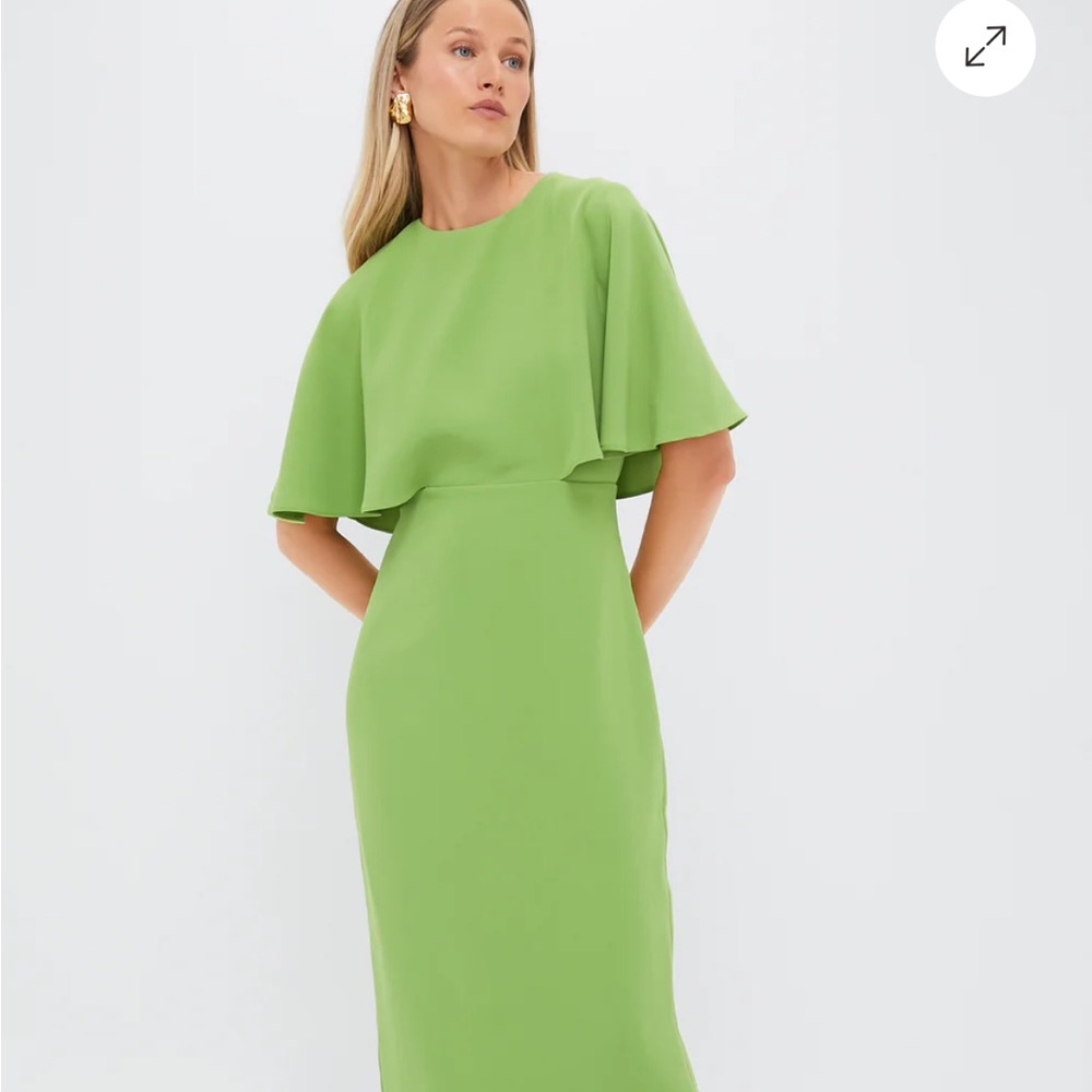 Pomander Place Pistachio Green Cape Lindy Dress size 6